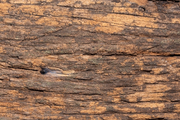 Textura de madera de fondo