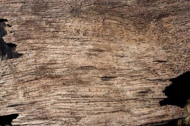 Textura de madera de fondo