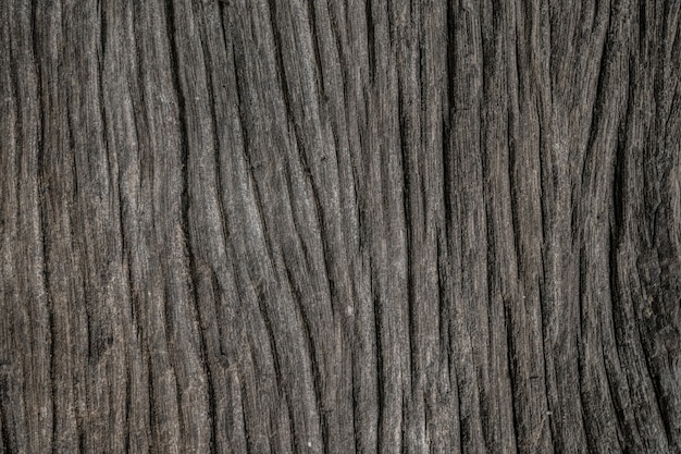 textura de madera de fondo.