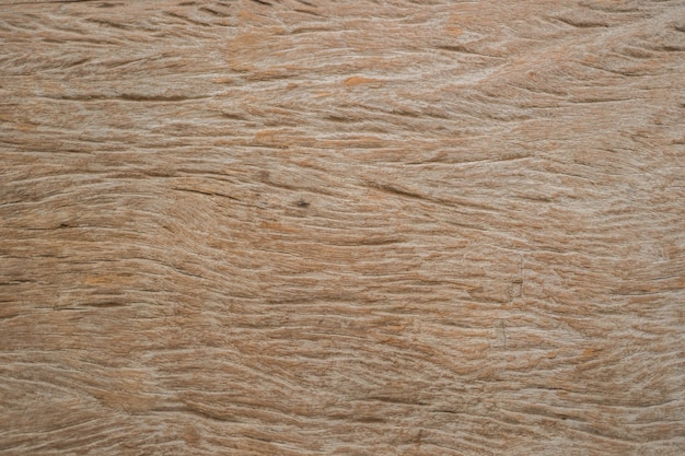 textura de madera de fondo