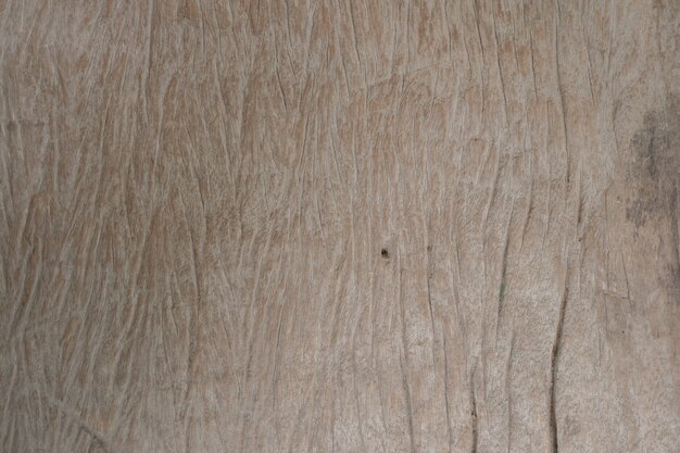 textura de madera de fondo