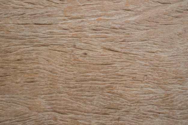 textura de madera de fondo