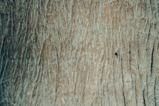 textura de madera de fondo