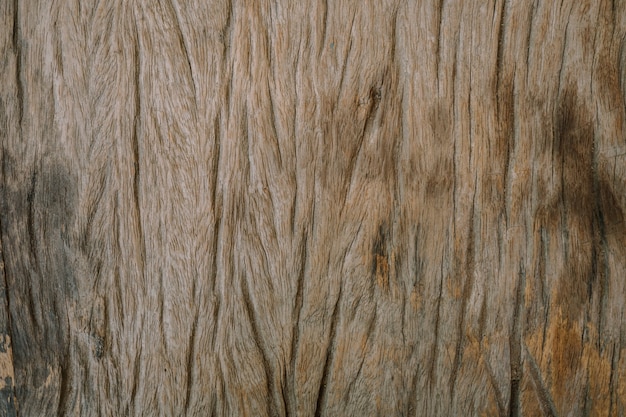 textura de madera de fondo