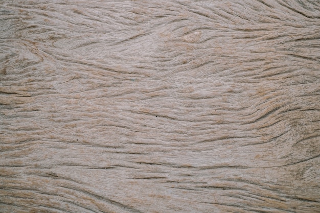 textura de madera de fondo