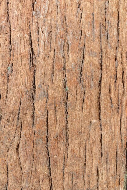 Foto textura de madera para un fondo