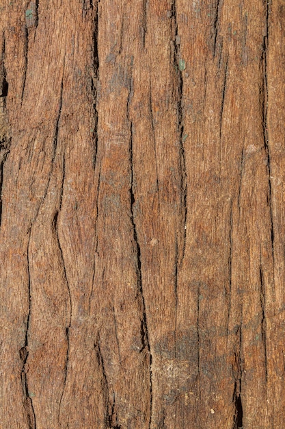 Textura de madera para un fondo