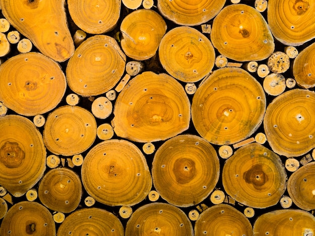 Textura de madera inconsútil del tronco de árbol cortado.