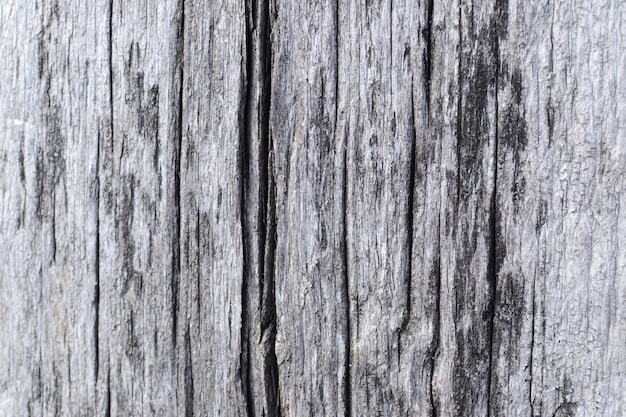 Textura de madera madera tablón de madera fondo materiales naturales pared de tablones pared de madera vertical