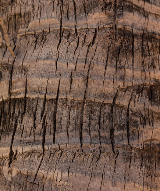 textura de madera natural