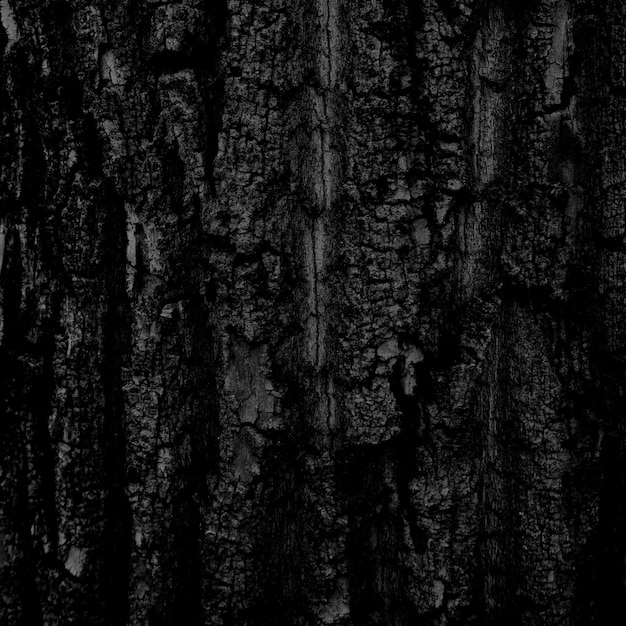 Textura de madera negra