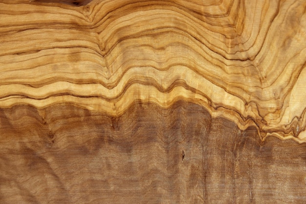 Textura de madera de olivo