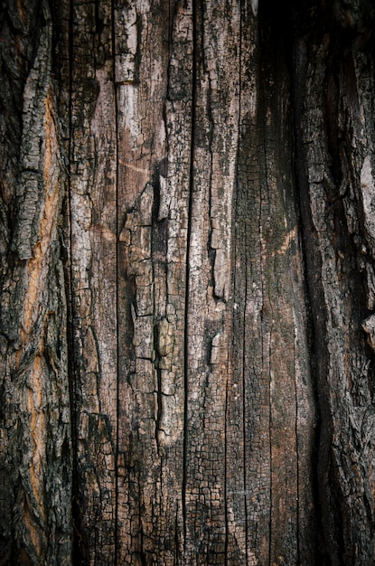 Foto textura de madera oscura fondo de madera