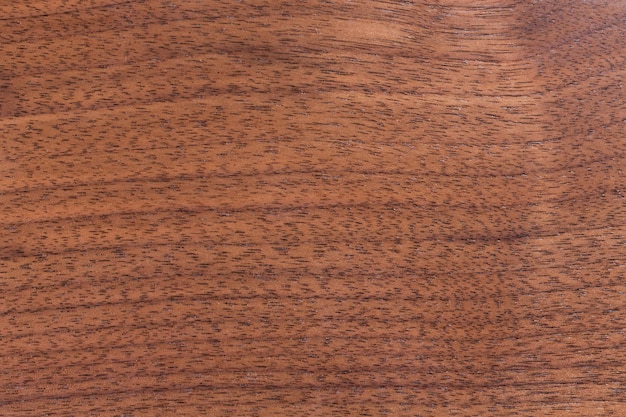 Textura de madera con patrón de madera natural para diseño y decoración.