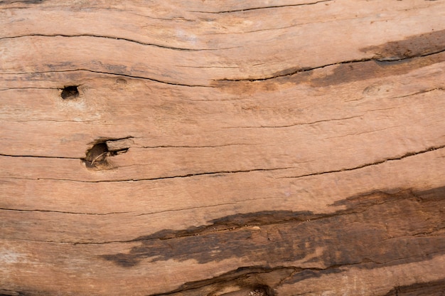 Textura de madera con patrón natural, fondo de madera