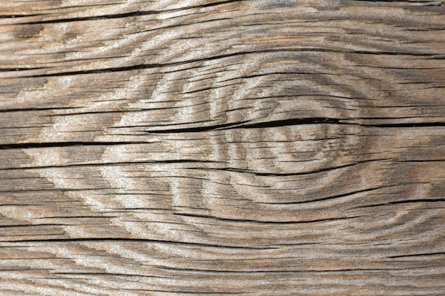 Textura de madera con patrones naturales como fondo.