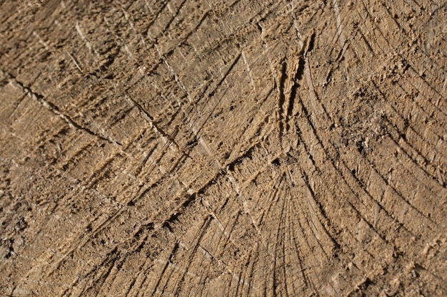 Textura de madera con patrones naturales.