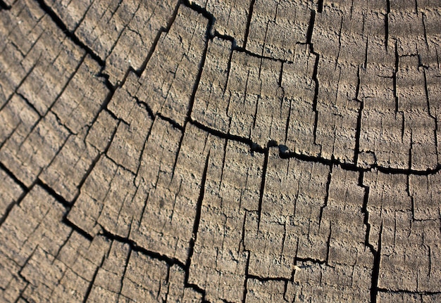 Textura de madera con patrones naturales.