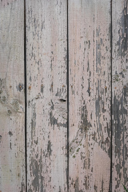 textura de madera pintada con pintura ligera que está agrietada