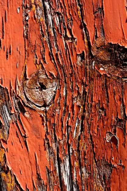 Textura de madera con pintura pelada.