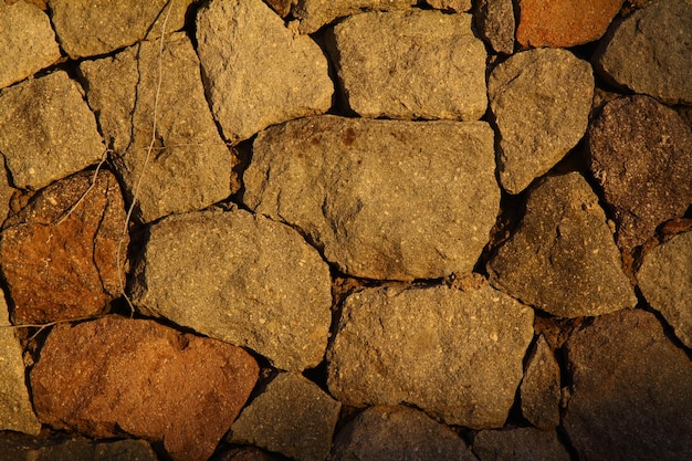 Textura de madera Plantilla vacía de fondo abstracto Captura recortada de un fondo texturizado