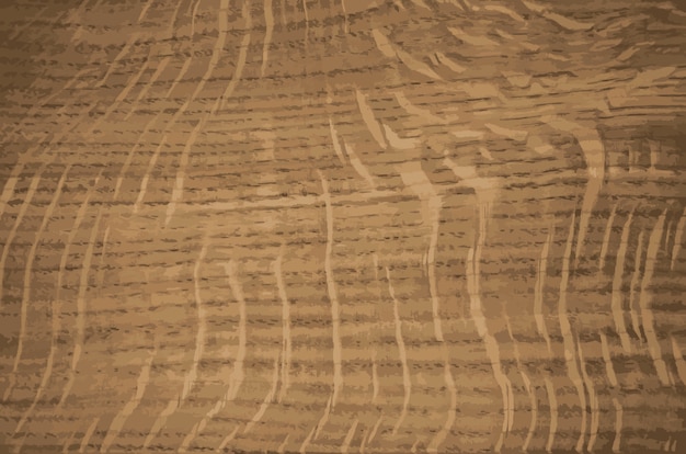 Textura de madera. Radial de roble. rayos centrales