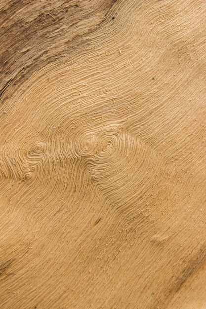 textura de madera en relieve