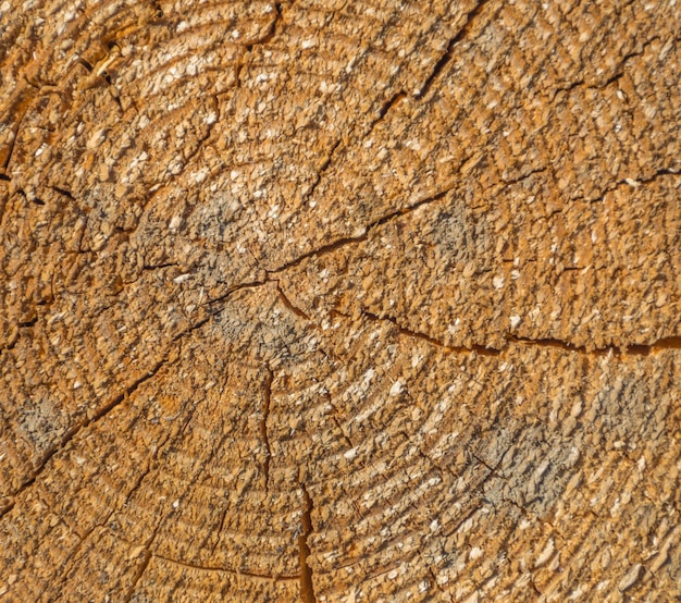 Textura de madera con rugosidad y grietas, fondo.