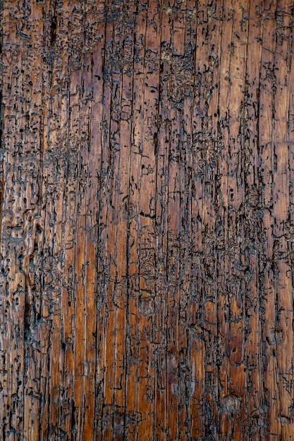 Textura de madera rústica