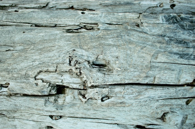 La textura de la madera seca.