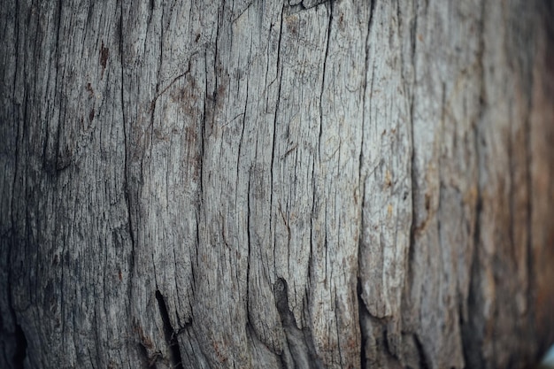 Textura de madera Superficie de fondo de madera de teca para diseño y decoración.