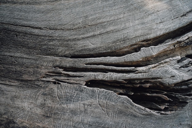 Textura de madera Superficie de fondo de madera de teca para diseño y decoración.