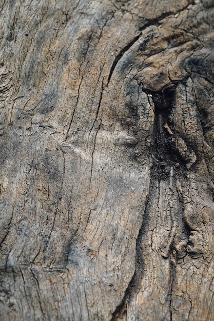 Textura de madera Superficie de fondo de madera de teca para diseño y decoración.