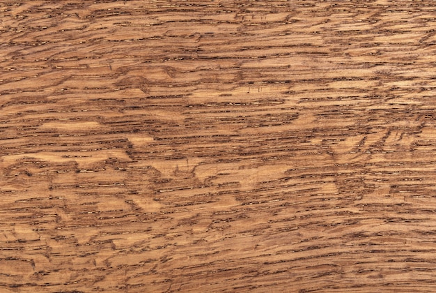 Textura de madera de tablero de roble