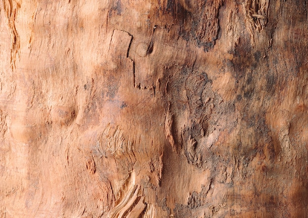 Textura De Madera De Tela De Papel