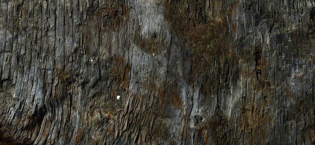 textura de madera con textura antigua