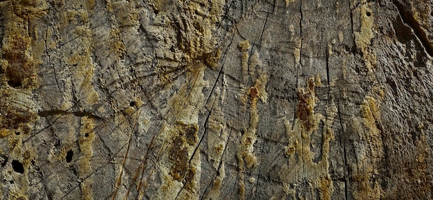 textura de madera con textura antigua