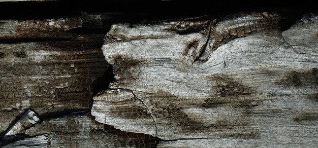 textura de madera con textura vintage