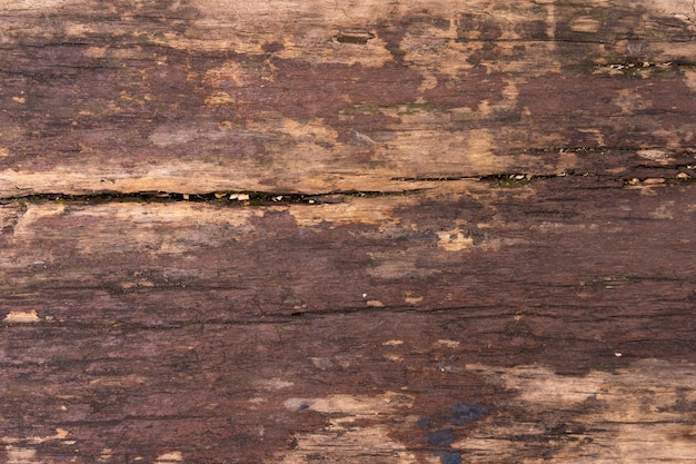 Textura de madera con varios patrones.