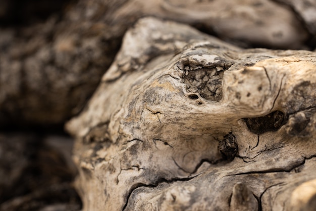 Textura de madera vieja de cerca