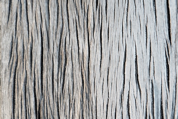 Textura de madera vieja crack tono blanco grisáceo Use esto para fondo de pantalla o imagen de fondo Hay un espacio en blanco para el texto