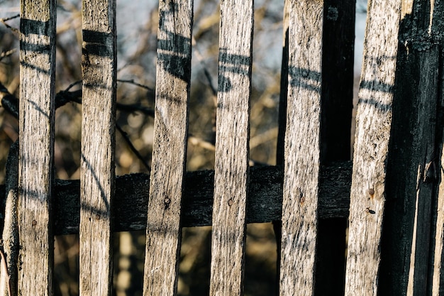 Textura de madera vieja de fondo de madera