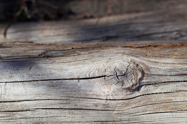 textura de madera vieja con luz del día