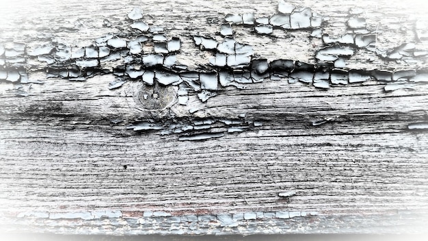 Textura de madera vieja Primer plano del tocón Grietas profundas en la superficie de madera Pasos de insectos Estado en mal estado de las estructuras de madera Efecto del viento y el agua en la madera