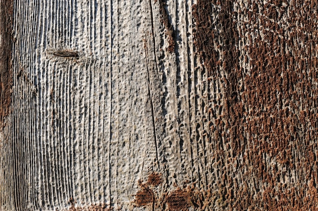 Una textura de madera vieja con rastros de destrucción.