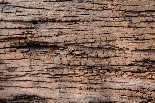 Textura de madera vieja, superficie rugosa, patrón natural