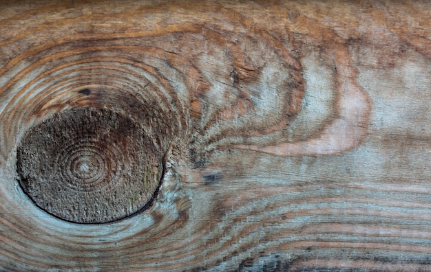 Textura de madera vieja