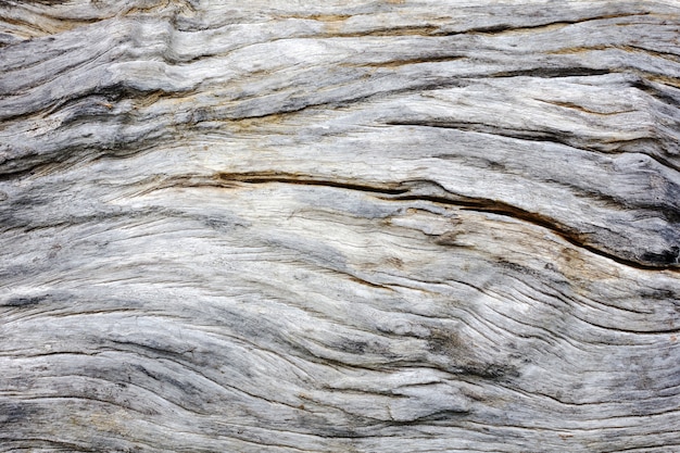 textura de madera vieja