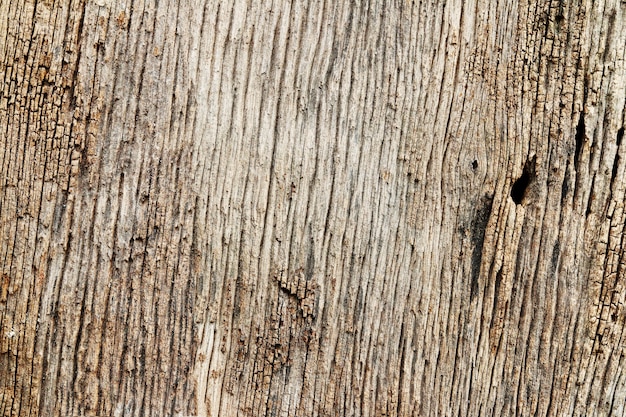 Textura de madera vieja