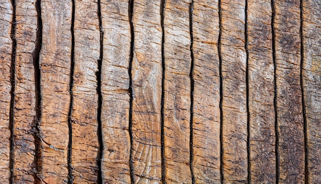 Textura de la madera vieja